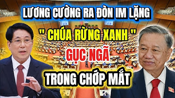 LƯƠNG CƯỜNG RA ĐÒN IM LẶNG: “CHÚA RỪNG XANH” GỤC NGÃ TRONG CHỚP MẮT