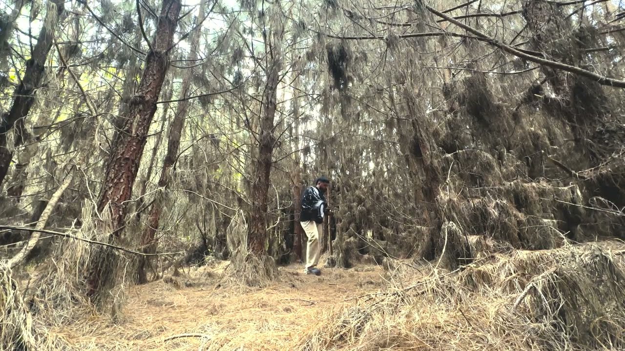Watch soleR - ACTUALMENTE (Visualizer) | ACTUALMENTE on YouTube Watch soleR - ACTUALMENTE (Visualizer) | ACTUALMENTE on YouTube