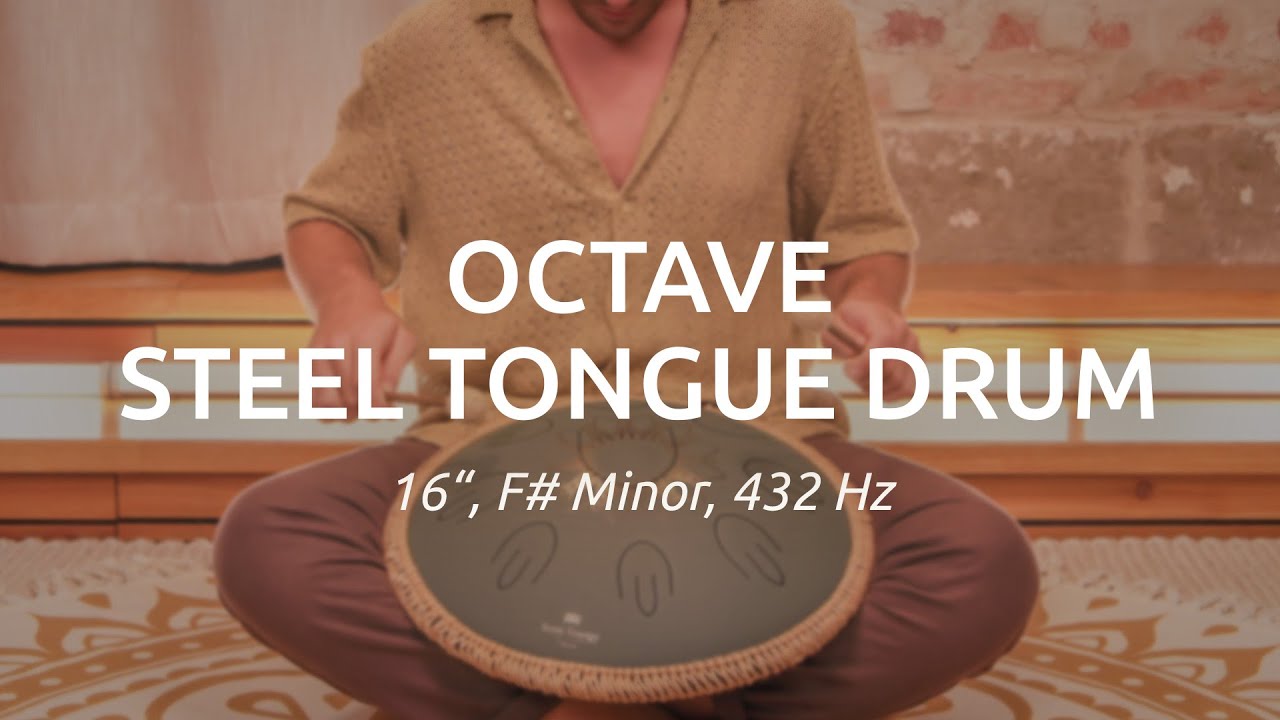 MEINL Sonic Energy Octave Steel Tongue Drum [16インチ／F# Minor