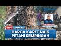 Jadi Rp14.500 Per Kilogram, Harga Getah Naik 45 Persen, Petani Karet di Bangka Selatan Semringah