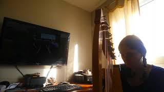 Daydreaming By Lisa Warren Harp Original
Week 51 of playing the harp.
This song came to me while thinking about the harp. I was thinking about the one that is most suitable and affordable, and also thinking about doing harp therapy. I am excited to start paying it forward from when our son was sick and we received many gifts. I want to help people relax and feel good like how I feel when I play. I feel like a completely different person since playing the harp (in a good way) and I want to help people achieve this as well. I found a course and now I patiently wait.
I am excited about this song and enjoy playing it. I hope you enjoy it to.
Thank you for watching. Daydreaming By Lisa Warren Harp Original