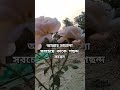 Mizanur Rahman Azhari New Waz Status Video❤️🥀 #dua #islamic #banglawaz#esat#shortsvideo