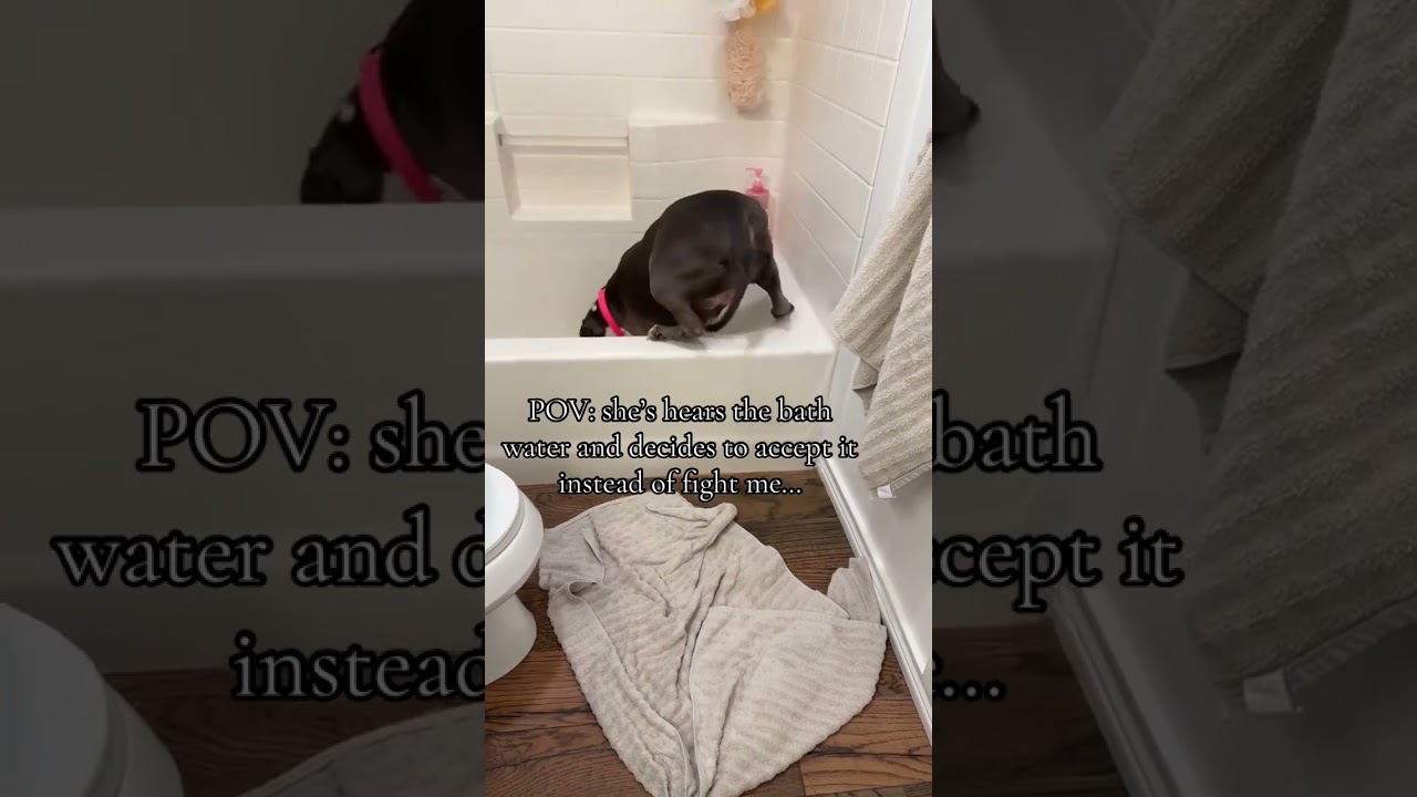 She heard the prvnci playing and knew what time it was