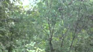 Hurricane Irene at North Billerica MA
