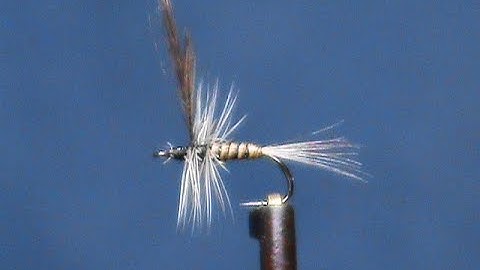 Fly Tying a Meck Blue Quill with Jim Misiura