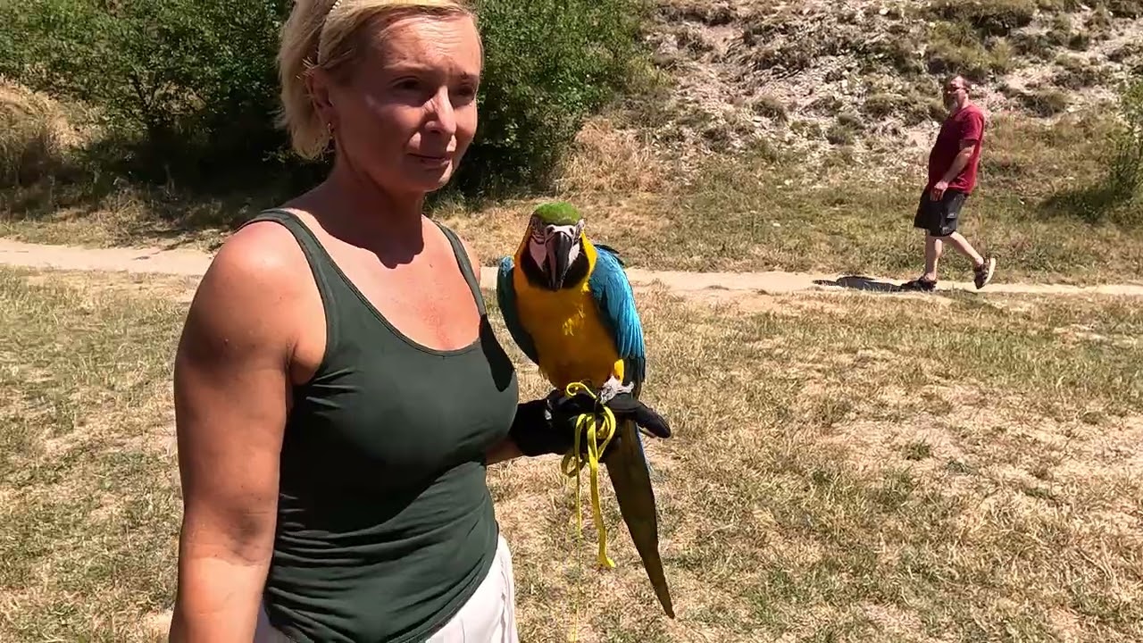 OCONASA A PLECAT LA EXCURSIE