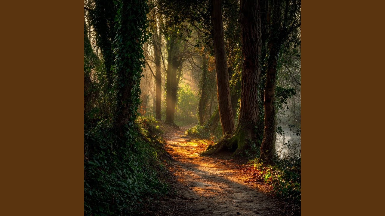 Bright Path adlı videoyu YouTube'da izle Bright Path adlı videoyu YouTube'da izle
