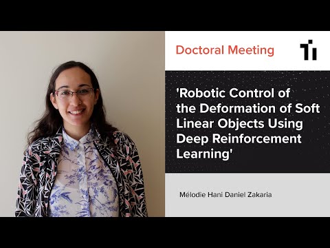 DM: 'Robotic Control of the Deformation of Soft Linear Objects Using Deep Reinforcement Learning'