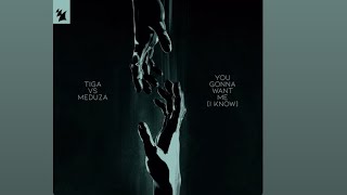 YOU GONNA WANT ME (I KNOW) - TIGA , MEDUZA 6 MINUTES EDIT 