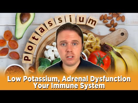 Low Potassium, Adrenal Dysfunction  Your Immune System | Podcast #288