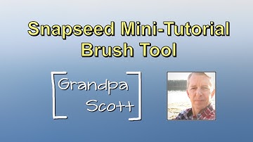 Snapseed Mini Tutorial - Brush Tool