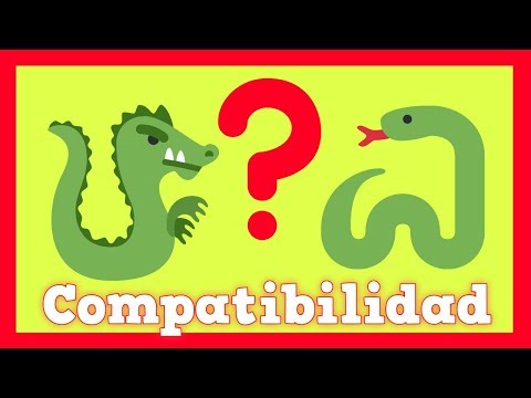Video: Horóscopo De Compatibilidad Oriental: Serpiente Y Dragón