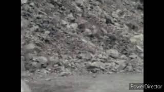 JAKQ Covack Attack on Team Finish