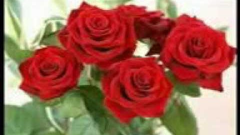 اية إنما المؤمنون الذين إذا ذكر الله وجلت قلوبهم سورة الأنفال الشيخ حاتم فريد