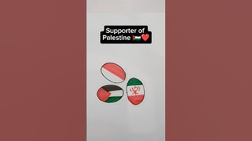 Supporter of Palestine 🇵🇸#flag #flags#shorts #shortsfeed
