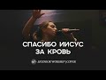Спасибо Иисус за кровь Thank You Jesus For The Blood Charity Gayle SKYDOOR WORSHIP Cover Спасибо Иисус за кровь Thank You Jesus For The Blood Charity Gayle SKYDOOR WORSHIP Cover
