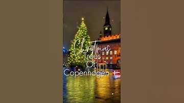 Christmas Trees of Copenhagen, Denmark 🇩🇰2025