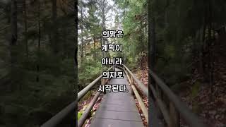 #하루시작#하루명언#긍정적마인드#열정#끈기#에너지#희망#감사한삶#오늘도잘될거야