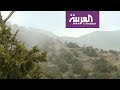 زيارة لغابة رغدان في الباحة السعودية