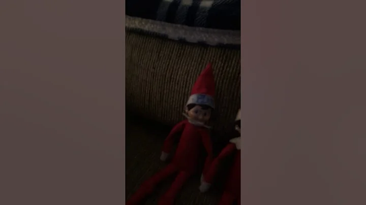 Saying good bye to the elfs
