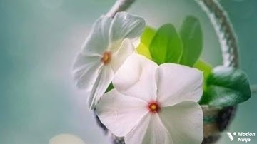 يأيها الذين ءامنوا الربع الثامن من الجزء الخامس من سورة النساء الحصري المعلم للقران الكريم 🌿