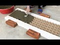 Creative ideas between cement and egg tray  amazing succulents garden decor ideas