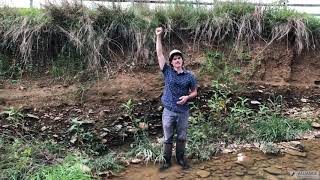 Riparian Restoration 101: Stream Restoration