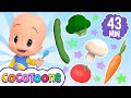 La canción de las verduras 🥑🍉 y más canciones infantiles para bebés con Cleo y Cuquín  | Cocotoons