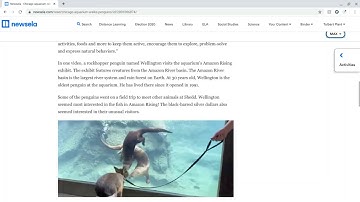 Getting Started with Newsela