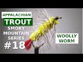 Woolly worm  fly tying appalachiangreat smoky mountain trout flies