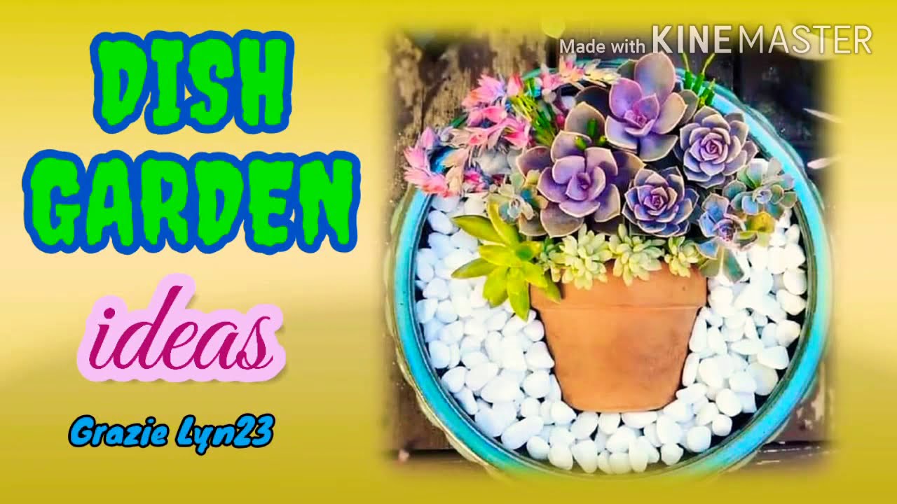 Dish garden ideas - YouTube