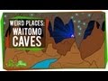 Weird Places: Waitomo Caves