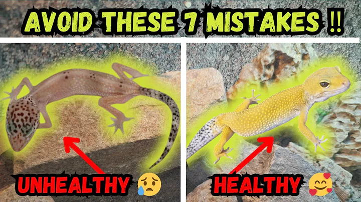 Top 7 Beginner Leopard Gecko Mistakes to Avoid