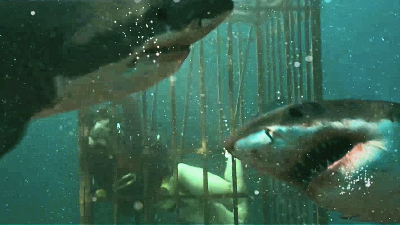 Into the Deep | 2025 | @SignatureUK Clip: Cage Attack | Scout Taylor-Compton Shark Movie