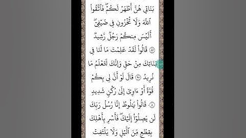 سورة هود 69-الى-95-محتصرا
