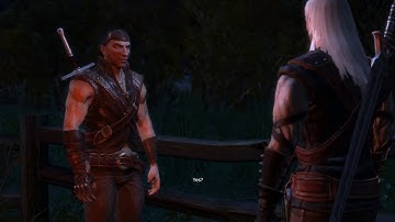 The Witcher Part 84 (Neutral path, Triss)