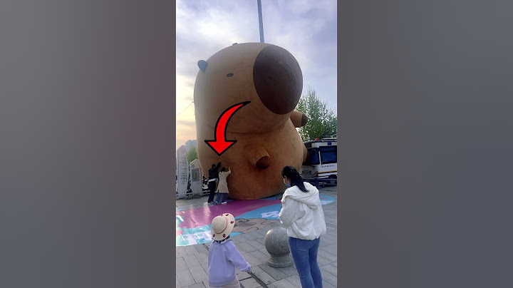 Una Capibara Gigante Fuera De Control😨