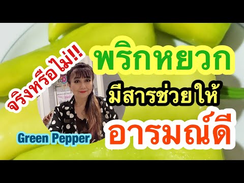 EP 354 พริกหยวกมีสารที่กินแล้ว อารมณ์ดี มีความสุข | Green Pepper | พี่เล็ก Lek Amazing