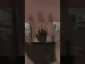 Лучший компаньон / Half-Life: Alyx (баги, приколы) ролик уже на канале #gaming #halflifealyx