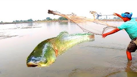 "Most Satisfying Cast Net Fishing Video - Traditional Net Catch Fish In The River Part-2 || Clips On