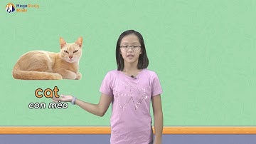 Từ vựng Tiếng Anh lớp 3 - Unit 16: Do you have any pets? (P1) | Megastudy Kids