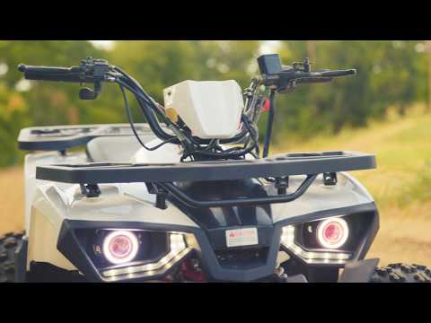 Raptor 125cc ATV four wheeler quad by Tao Tao Motor Commercial