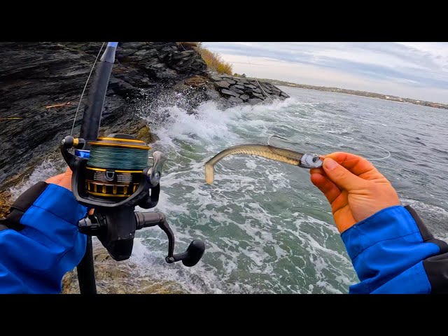 Surfcasting Rhode Island For Striped Bass And Bluefish! class=