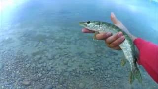 Pêche du carnassier sur le lac de Sainte-Croix-du-Verdon