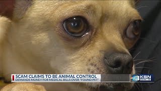 Sedgwick County Sheriff’s Office warns of scam callers pretending to be animal control