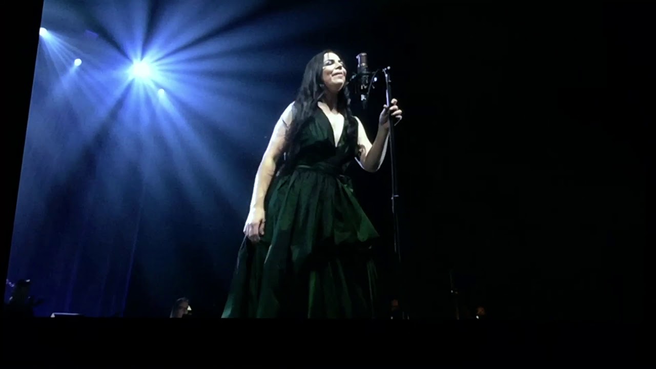 evanescence tour texas