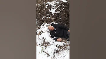Ежики зимой не спят