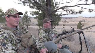 15 COYOTES IN THREE DAYS! | Calling Coyotes During Calving Season! PT III by OutDoors 406 7,936 views 4 years ago 12 minutes, 54 seconds