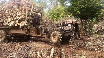 (Tập 55) xe công nông cầu kéo chở củi cà phê tới bây mới gấy cổ Cái kết vỡ môm (Mơ vlogs)
