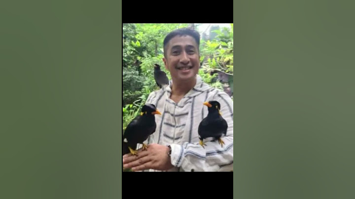 "Potret Aviary Rumah Irfan Hakim: Hutan Mini Dihuni Ratusan Hewan"
